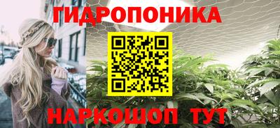 jwh Дубна
