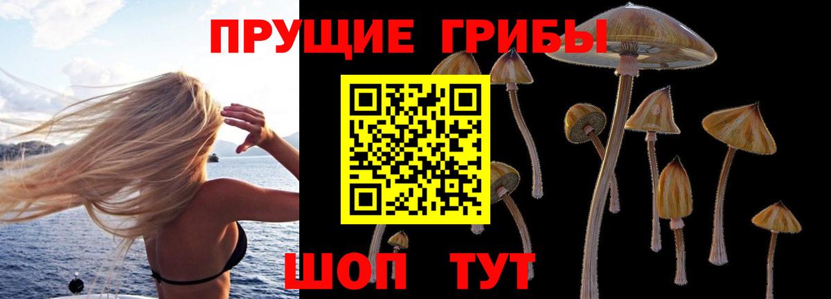 Псилоцибиновые грибы GOLDEN TEACHER Мелеуз